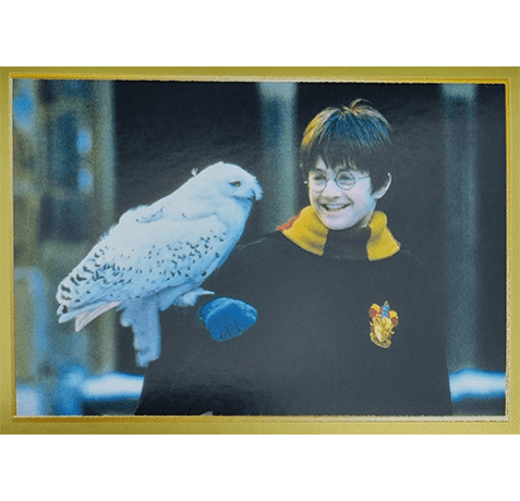 Panini Harry Potter Anthology Sticker Nr 013