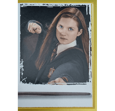 Panini Harry Potter Anthology Sticker Nr 130