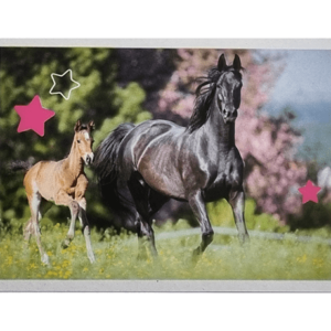 Horse Club Lieblingspferde Sticker - Nr 132