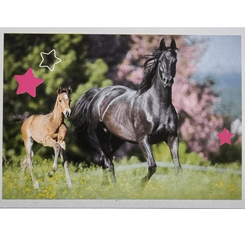 Horse Club Lieblingspferde Sticker - Nr 132