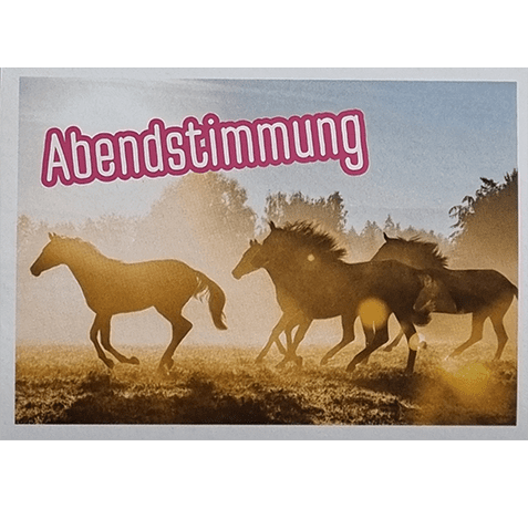 Horse Club Lieblingspferde Sticker - Nr 133