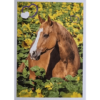 Horse Club Lieblingspferde Sticker - Nr 135