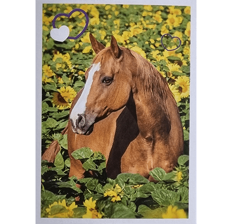 Horse Club Lieblingspferde Sticker - Nr 137