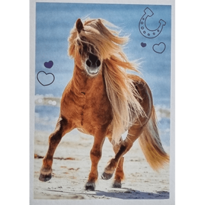 Horse Club Lieblingspferde Sticker - Nr 140