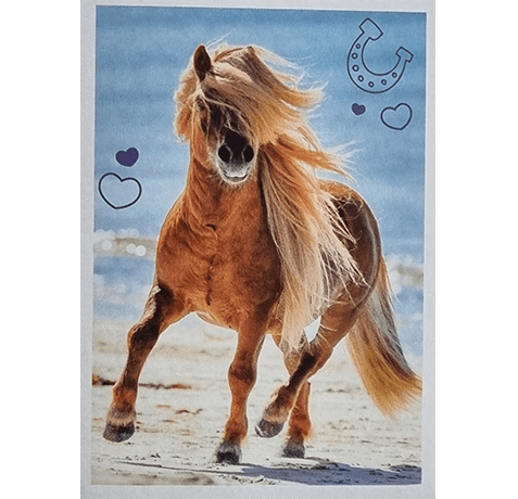 Horse Club Lieblingspferde Sticker - Nr 140