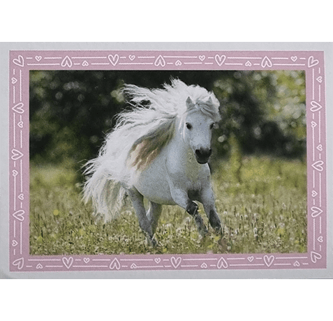 Horse Club Lieblingspferde Sticker - Nr 141