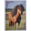 Horse Club Lieblingspferde Sticker - Nr 142