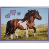 Horse Club Lieblingspferde Sticker - Nr 144