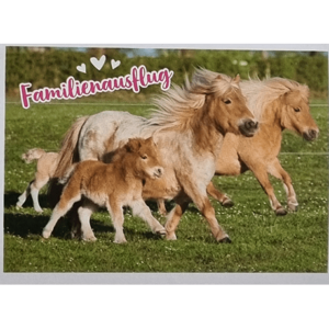 Horse Club Lieblingspferde Sticker - Nr 146