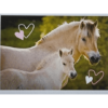 Horse Club Lieblingspferde Sticker - Nr 155