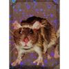 Panini Harry Potter Evolution Trading Cards Nr 156 Magical Creature