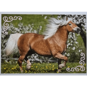 Horse Club Lieblingspferde Sticker - Nr 161