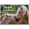 Horse Club Lieblingspferde Sticker - Nr 162