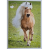 Horse Club Lieblingspferde Sticker - Nr 166