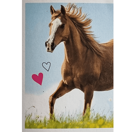 Horse Club Lieblingspferde Sticker - Nr 017