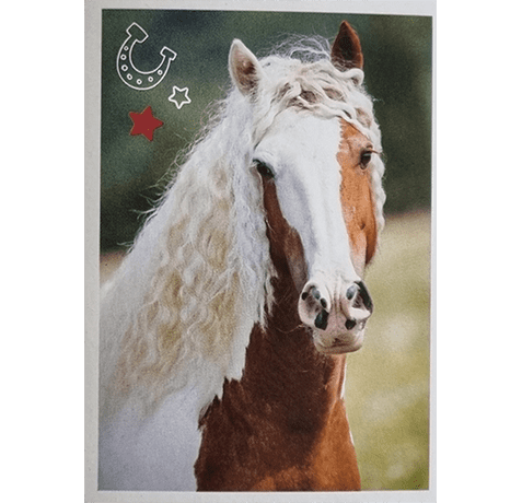 Horse Club Lieblingspferde Sticker - Nr 170