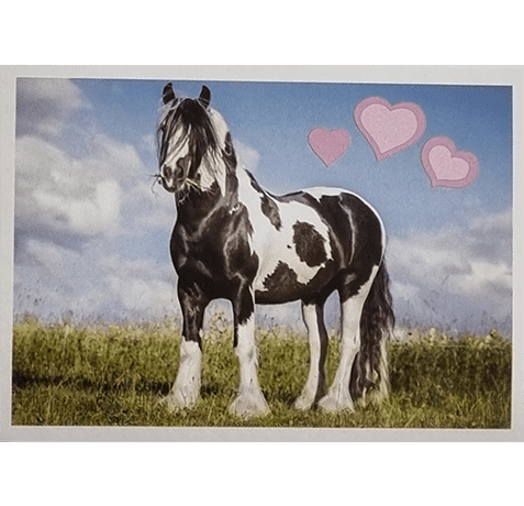 Horse Club Lieblingspferde Sticker - Nr 171