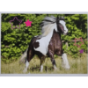 Horse Club Lieblingspferde Sticker - Nr 176