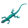 Blue Ocean Geckos Planet WOW - Gecko 18 - Türkisblauer Zwergtaggecko