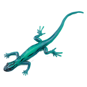 Blue Ocean Geckos Planet WOW - Gecko 18 - Türkisblauer Zwergtaggecko