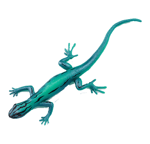 Blue Ocean Geckos Planet WOW - Gecko 18 - Türkisblauer Zwergtaggecko