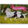 Horse Club Lieblingspferde Sticker - Nr 180