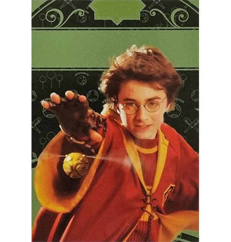 Panini Harry Potter Evolution Trading Cards Nr 181 Quidditch