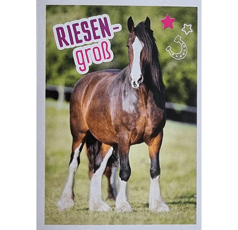 Horse Club Lieblingspferde Sticker - Nr 184