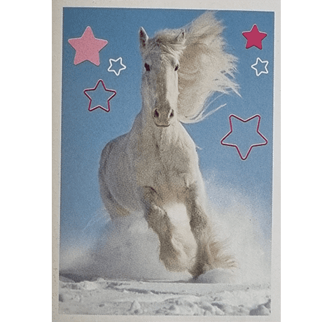 Horse Club Lieblingspferde Sticker - Nr 185