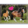 Horse Club Lieblingspferde Sticker - Nr 186