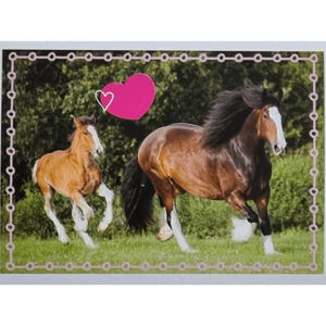 Horse Club Lieblingspferde Sticker - Nr 186