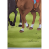 Horse Club Lieblingspferde Sticker - Nr 191