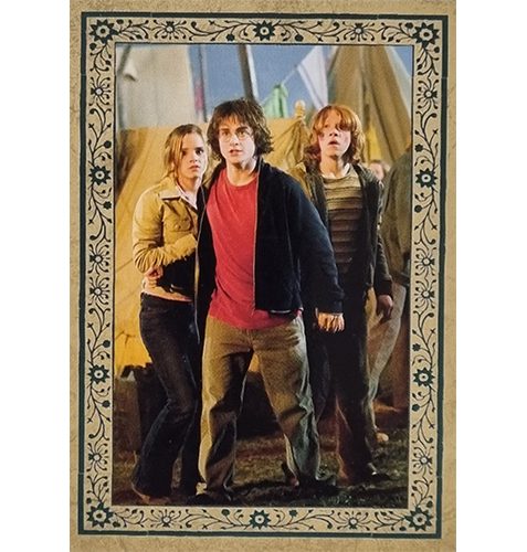 Panini Harry Potter Evolution Trading Cards Nr 194 Close Call