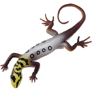 Blue Ocean Geckos Planet WOW - Gecko Nr 2 - Augenfleck Zwerggecko mit Farbwechsel