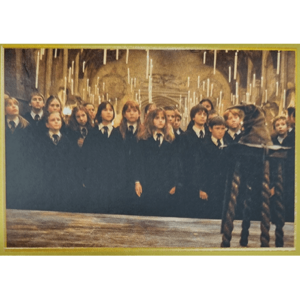 Panini Harry Potter Anthology Sticker Nr 020