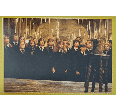 Panini Harry Potter Anthology Sticker Nr 020