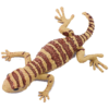 Blue Ocean Geckos Planet WOW - Gecko Nr 20 - Helmkopf-Gecko