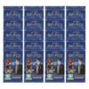 Panini Harry Potter Evolution Trading Cards 20x Booster