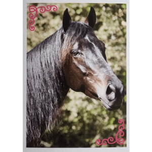 Horse Club Lieblingspferde Sticker - Nr 023