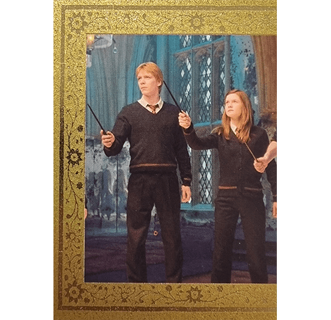 Panini Harry Potter Evolution Trading Cards Nr 230 The Weasleys Gold