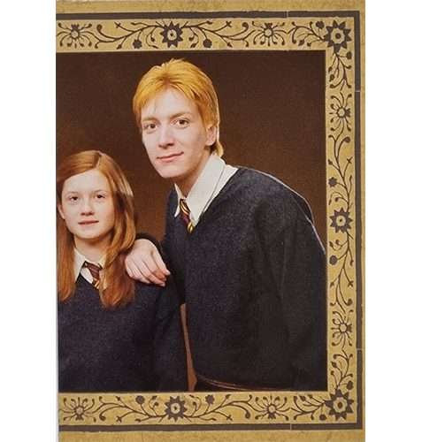 Panini Harry Potter Evolution Trading Cards Nr 234 The Weasleys