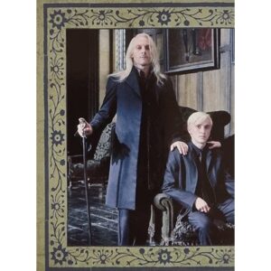 Panini Harry Potter Evolution Trading Cards Nr 239 The Malfoys