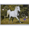 Horse Club Lieblingspferde Sticker - Nr 025