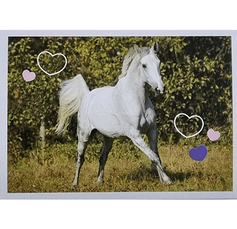 Horse Club Lieblingspferde Sticker - Nr 025