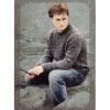 Panini Harry Potter Evolution Trading Cards Nr 026 Harry Potter