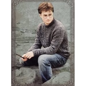 Panini Harry Potter Evolution Trading Cards Nr 026 Harry Potter