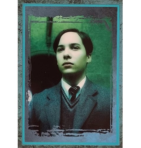 Panini Harry Potter Evolution Trading Cards Nr 262 Horcrux