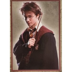 Panini Harry Potter Evolution Trading Cards Nr 263 Horcrux