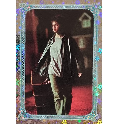 Panini Harry Potter Evolution Trading Cards Nr 282 Magical Place