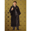 Panini Harry Potter Evolution Trading Cards Nr 029 Ron Weasley Gold